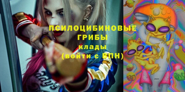 бошки Баксан