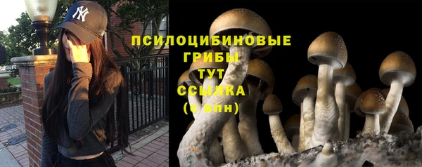 apvp Балабаново