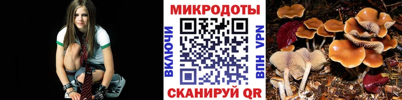 Галлюциногенные грибы Psilocybine cubensis  Грязовец 